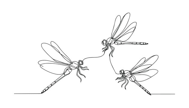 Continuous Simple black line art drawing set of dragonfly bird in a minimalist style on a white background.