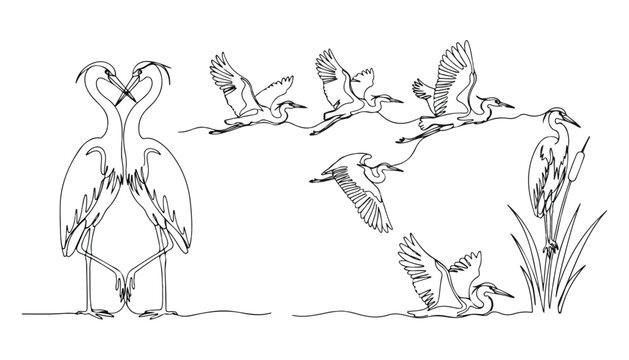 Continuous Simple black line art drawing set of herons bird in a minimalist style on a white background.