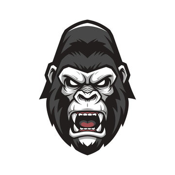 Furious gorilla head illustration, strong ape symbol on white