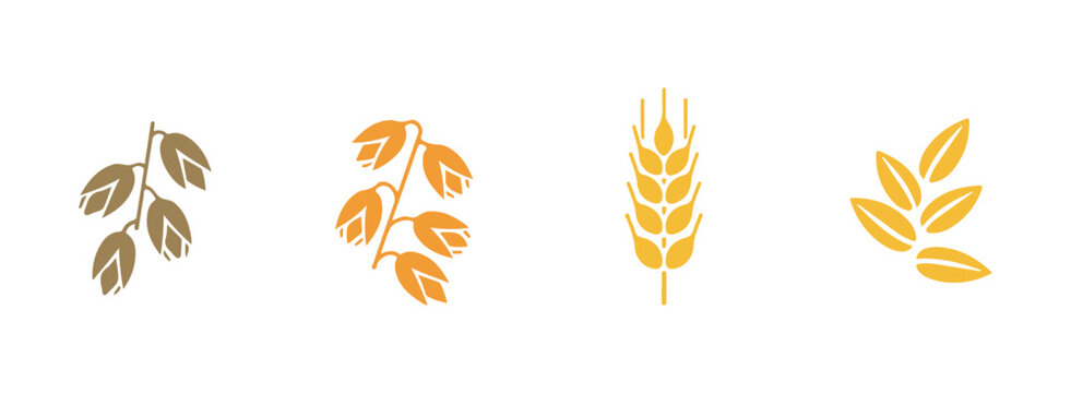Vector icons of cereals including rice, wheat, corn, oats, rye, and barley. Illustration in vector format.

