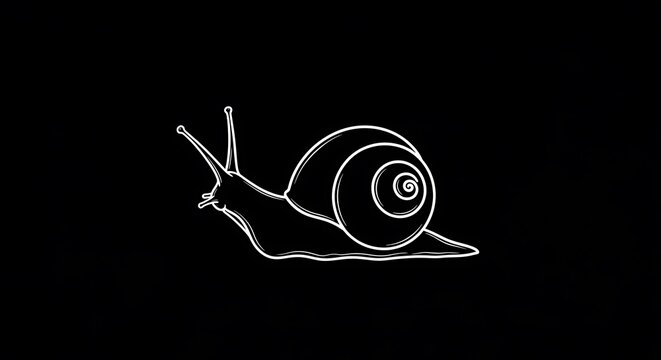 White outline drawing of a snail on black background