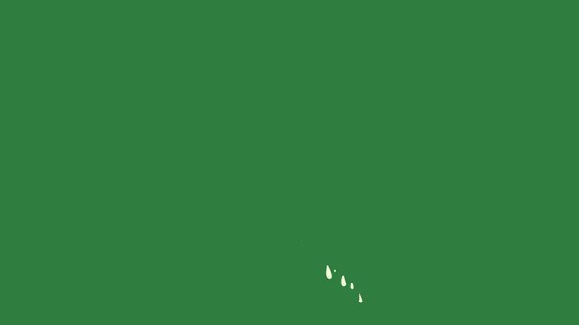A green screen with white background and face on it cat hand holding cactus outline in the middle animated chromakey background colorful gesture frame cartoonish elements backgrounds