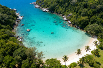 Fototapeta premium Aerial View of Tropical Secluded Beach with Clear Turquoise Water and Palm Trees