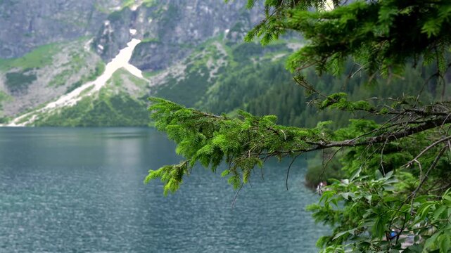 Morskie Oko lake with evergreen branch in foreground in Zakopane Poland