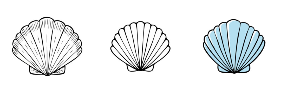 Set of three scallop shells in different artistic styles including vintage sketch and simple outline