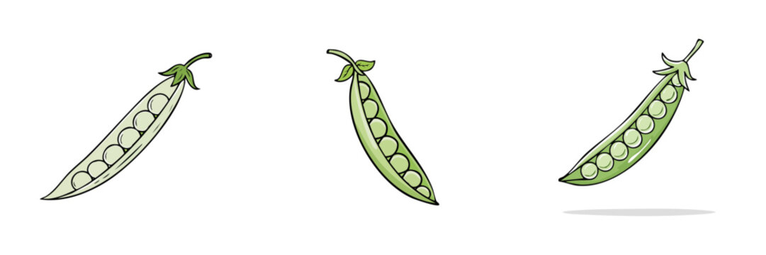 Set of fresh green pea pods illustration isolated on white background