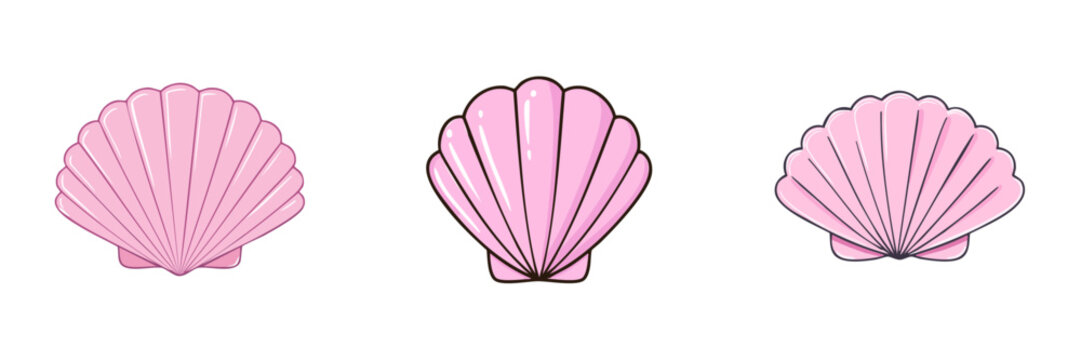 Set of three pink scallop shells illustration