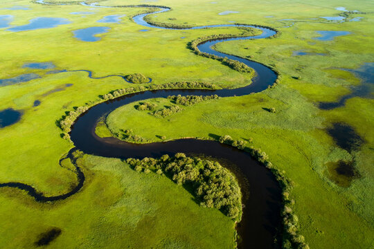 Aerial View of Meandering River Flowing Through Green Wetlands