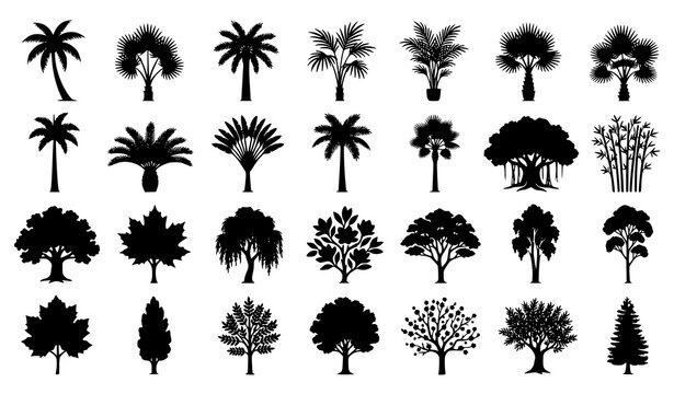 Tropical palm and broadleaf tree silhouettes vector set for landscape and botanical design