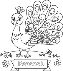 Fototapeta premium peacock, displaying magnificent tail feathers, adorable cartoon