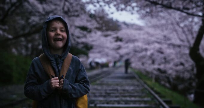 Smiling boy standing in front of many Japanese cherry blossom trees - handheld shot