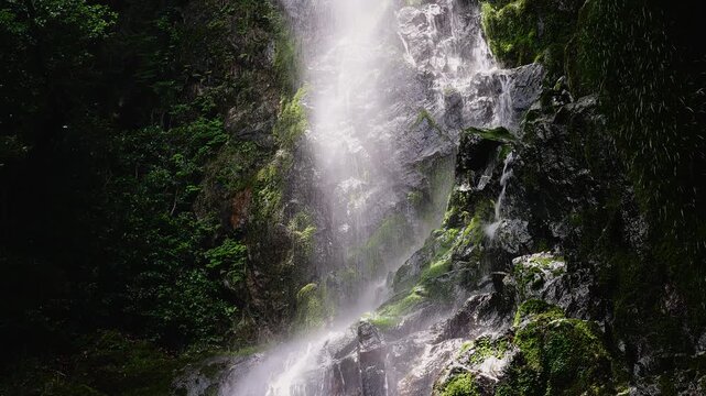 美しい新緑と苔むした黒い岩肌を激しく流れ落ちる清水の滝の急流（佐賀県）