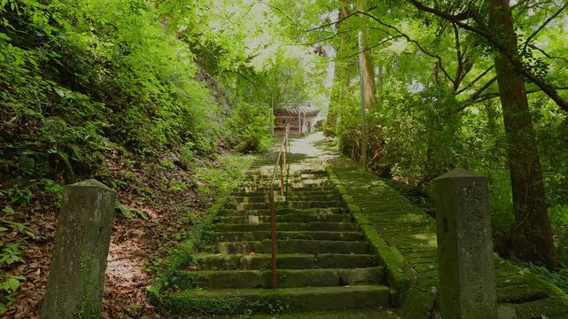 美しい新緑の木漏れ日と静寂な境内に伸びる清水寺の苔むした古い石段（佐賀県）