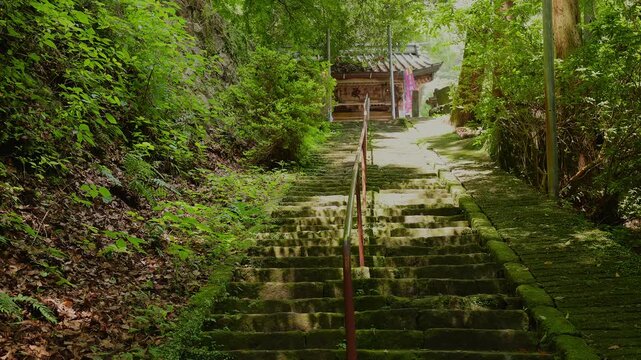 美しい新緑の木漏れ日と静寂な境内に伸びる清水寺の苔むした古い石段（佐賀県）