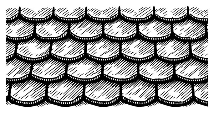 Traditional roof shingle texture with overlapping tiles, engraved architectural pattern for house exterior design backdrop