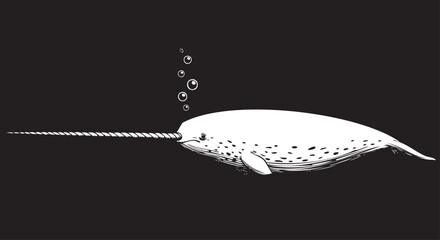 narwhal, white whale, ocean animal, underwater, black background © Uttom Kumar