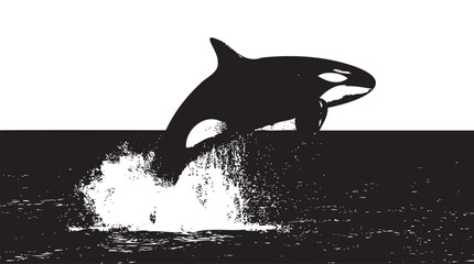 Black orca, killer whale silhouette, jumping out of water, monochrome illustration, ocean animal © Uttom Kumar