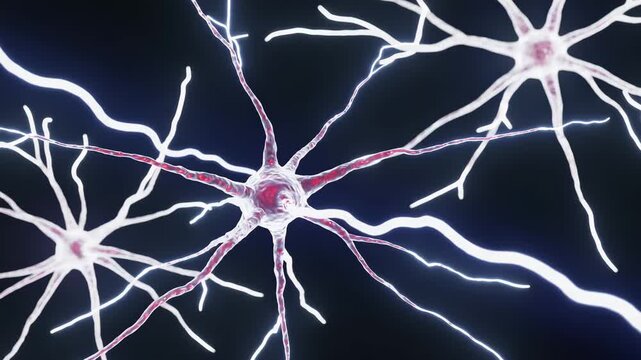 3D illustration of active neuron firing electrical signals, synapse transmission in nervous system