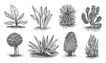 Collection of hand-drawn botanical of various plants © Batter stock