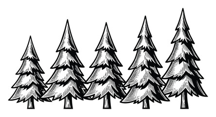 Stylized black and white of a row of pine trees © Hintsync