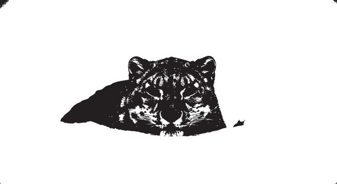 Black tiger head vector illustration, wildlife animal graphic, predator face close-up, monochrome design element
