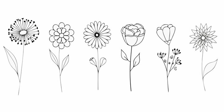Minimalist Flower Line Art Collection On White Background