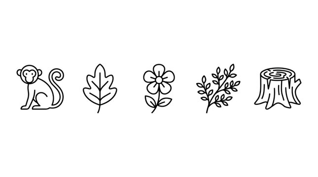 Monkey leaf flower branch stump natural elements collection in a simple line art style representing various aspects of nature, wildlife, and forest life.