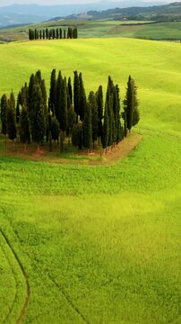 Flying over the beautiful rolling landscape of Tuscany Italy. Vertical video.