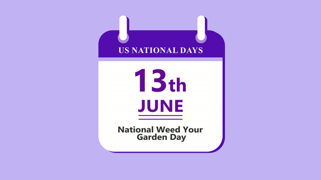 Gardening activity calendar interface featuring 13th June National Weed Your Garden Day with clean minimal date layout and eco theme on purple background 4k animation video