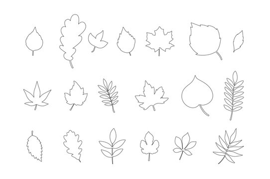 leaves outline collection set black