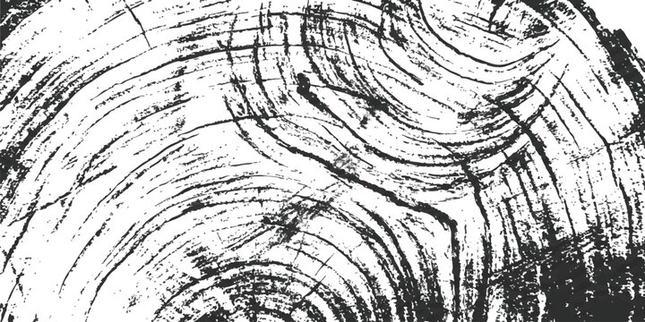 Black and white wood grain texture with natural circular tree ring patterns and detailed rough wooden surface