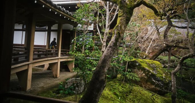 Little boy walking across wooden bridge in old Japanese structure surrounded by foliage - slow motion shot