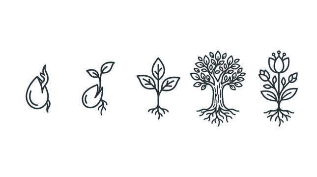 Plant growth stages vector illustration showing the complete life cycle development from a tiny seed to a mature tree and a blooming flower.