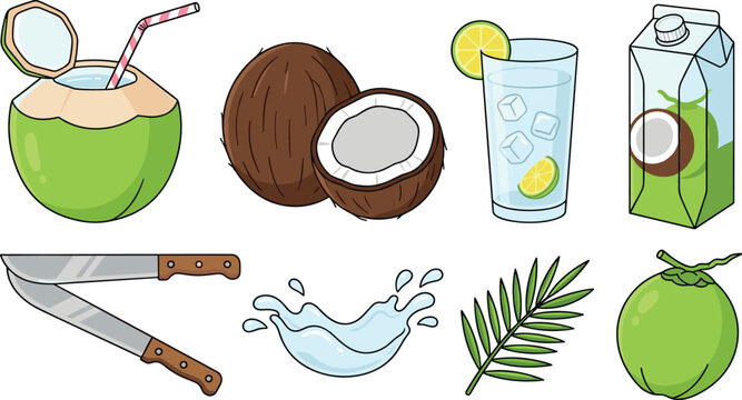 Fresh Green Coconut Water and Beverage Vector Set with Whole Shell Slices Juice Glass Machete Knife and Carton Packaging for Tropical Drink Designs
