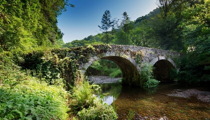 Fototapeta premium a weathered stone bridge spanning a small creek surrounded by dense greenery