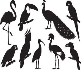 Obraz premium Exotic Avian Silhouettes: A striking collection of diverse bird silhouettes, including a flamingo, toucan, peacock, parrot, cockatoo, ibis, crowned crane, and another bird.