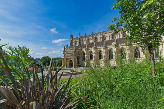 A stately stone cathedral stands under a clear blue sky, partially framed by vibrant green plants at Gloucester Cathedral - Gloucester - Gloucestershire - UK