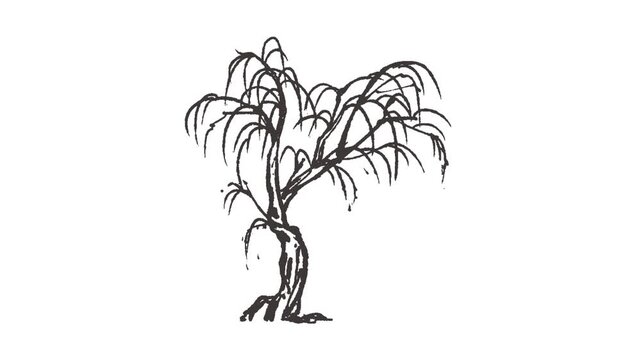 Animated black and white illustration of three identical trees with curved trunks and drooping branches on a white background