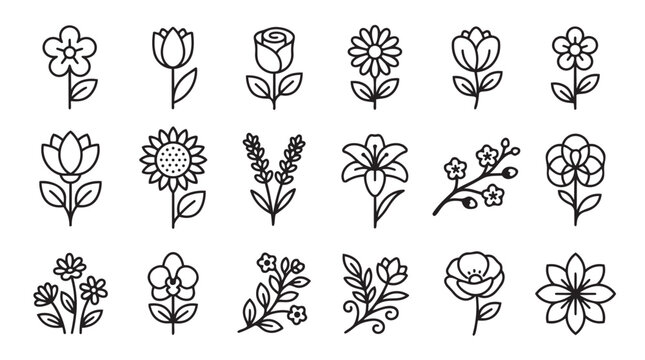 Set of detailed botanical flower and leaf line style icons with botanical sunflower illustration