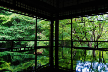 Fototapeta premium Emerald Reflections in a Kyoto Zen Temple