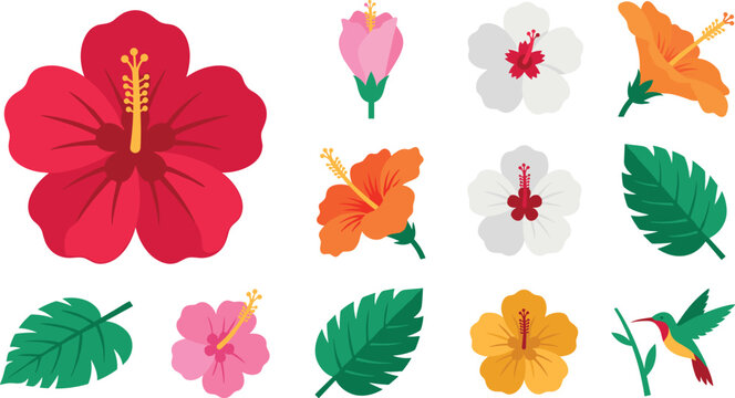 Tropical Hibiscus Flower Vector Element Set with Red Pink White Orange and Yellow Blossoms Green Monstera Leaves Bud and Flying Hummingbird Icon