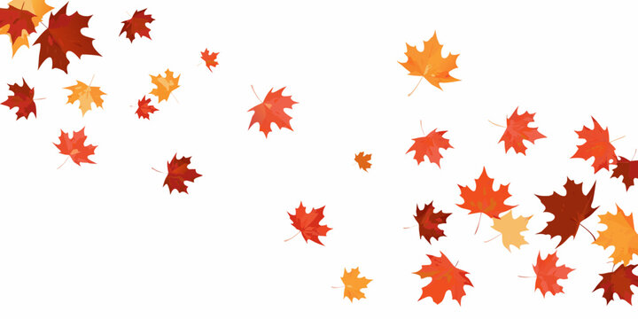 Falling Maple Leaves Arrangement Vector Illustration With White Background