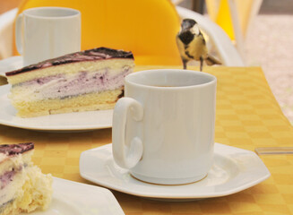 Kaffeetafel mit Kuchen und Kohlmeise © JS