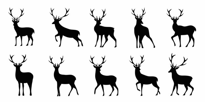 Twelve Black Deer Silhouettes A Collection Of Antlered Mammal Shapes