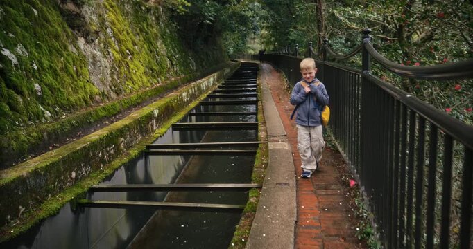Shy boy with backpack walking along running water in Japanese forest - wide, steady cam shot