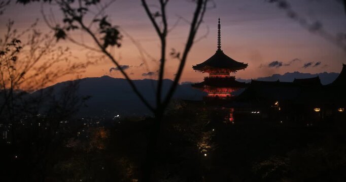 Wide shot of Japanese city lights and glowing 8th century temple at dusk through foliage