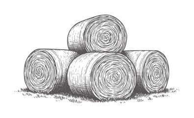 Stacked round hay bales grassy field in sketchy style © Mohammad
