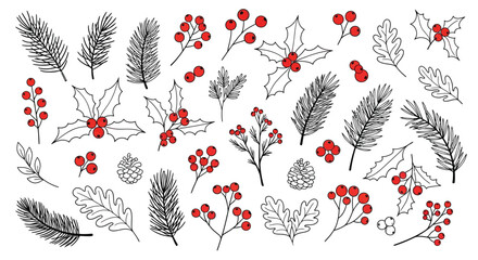 Christmas winter collection of hand drawn holly berries pine branches cones and leaves isolated on white background for seasonal holiday design decoration. © Snek