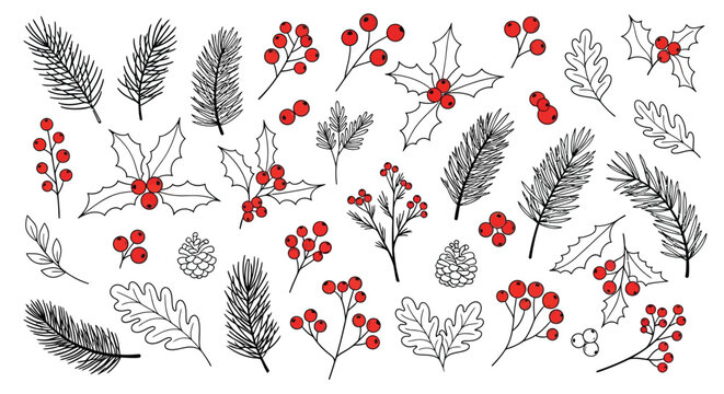 Christmas winter collection of hand drawn holly berries pine branches cones and leaves isolated on white background for seasonal holiday design decoration.