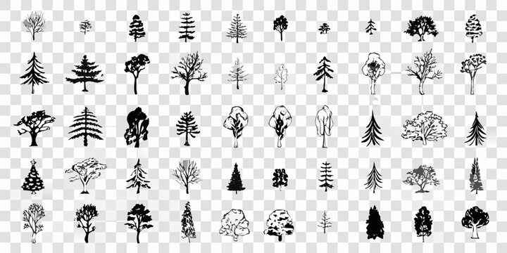 Collection Of Sketchy Tree Icons On Transparent Background
